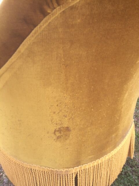 Pair of toad armchairs