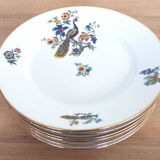 6 flat porcelain plates peacock