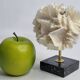 Old white coral on black veined marble base, 16 cm