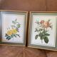 Botanical square paintings: Rosa Eglantera