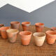 10 old seedling pots
