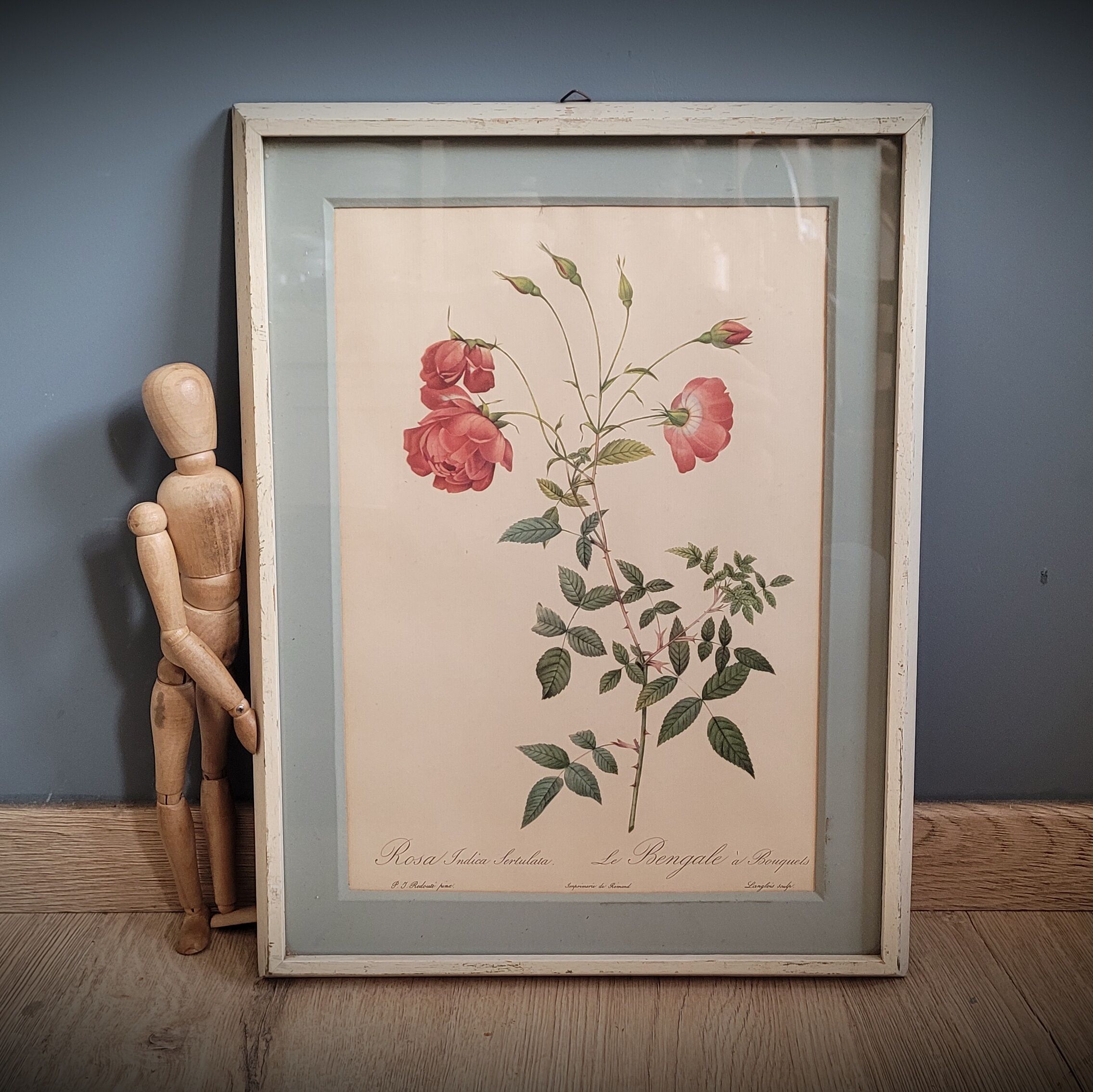 Authentic and ancient lithograph of Redouté representing a Bengal rose with bouquets (in a c