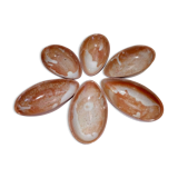 avocado aperitif cups in sandstone
