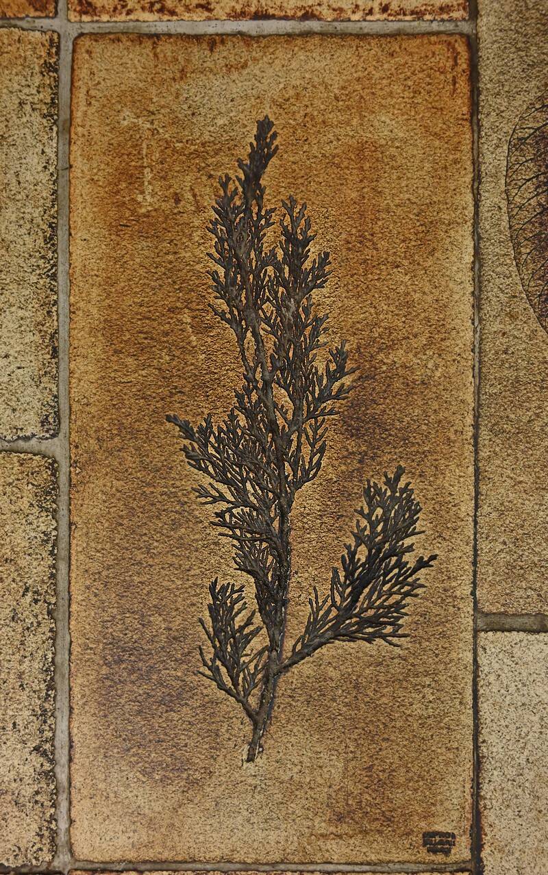 Coffee table signed R. Capron, Les Herbiers Collection, Vallauris – 1960