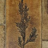 Coffee table signed R. Capron, Les Herbiers Collection, Vallauris – 1960