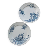 Duo of iron earthenware plates “Régent” BFK