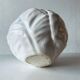 Ceramic cabbage plant pot