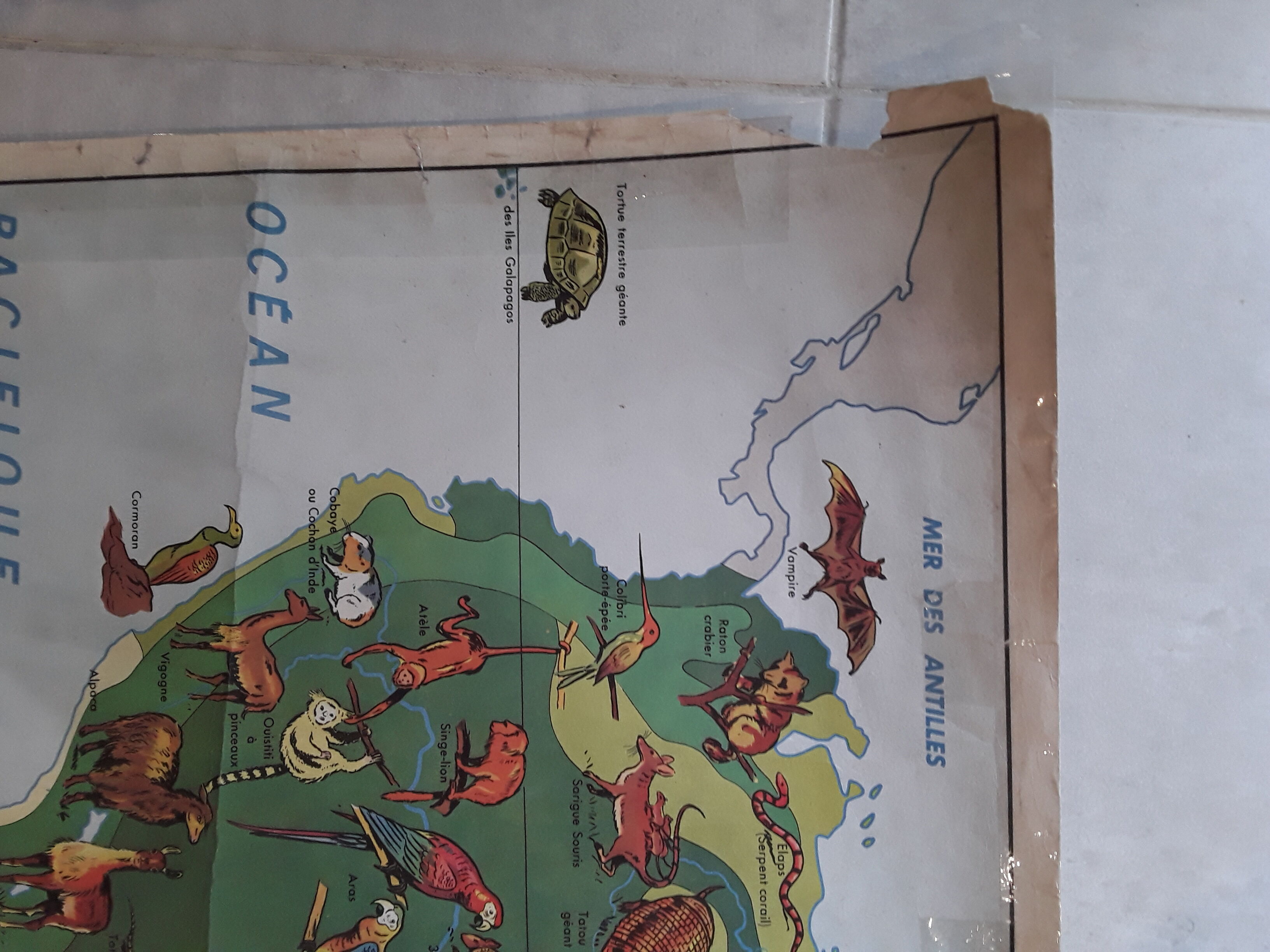 Old map of geography