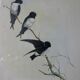 Paire de lithographies encadrées, oiseaux