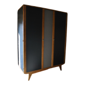 Renovated scandinavian cabinet