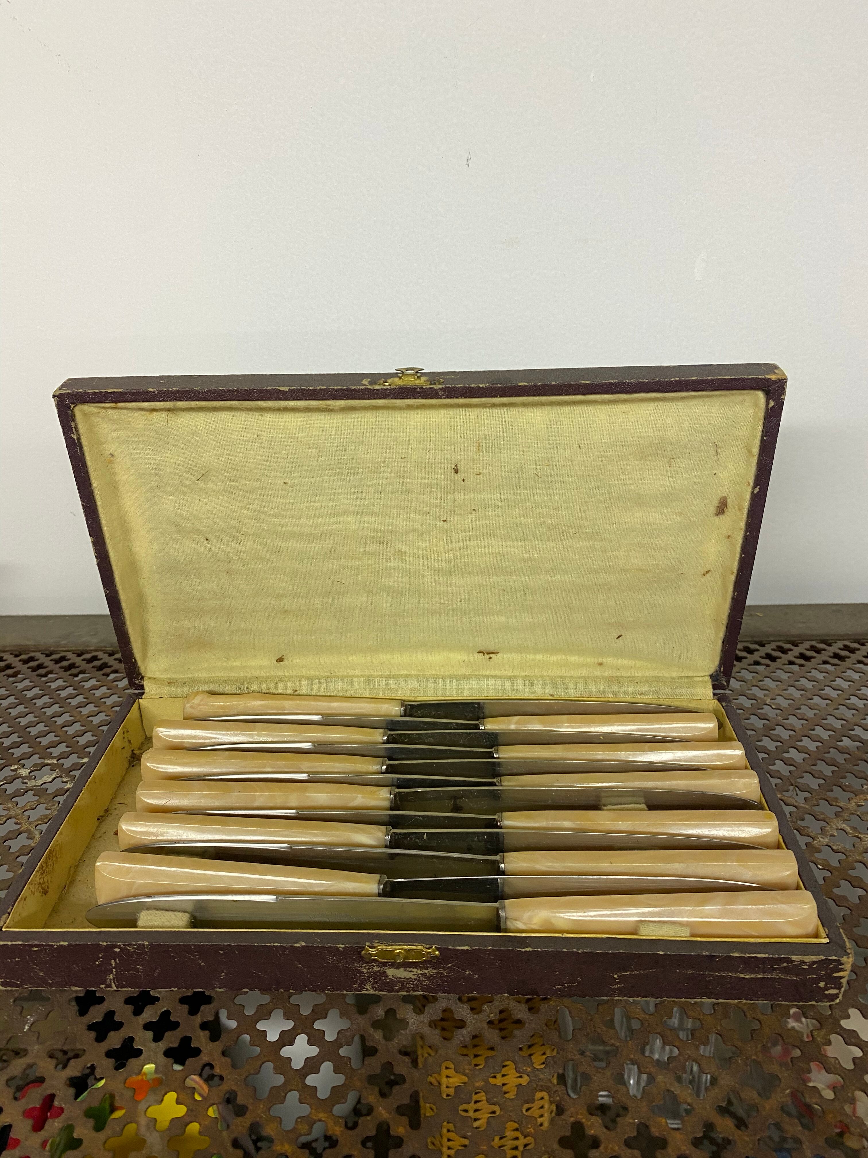 Box of 12 stainless steel knives