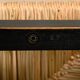 Martin Visser SE82 Chairs in Black Wood and hand woven Rush Seats for Spectrum