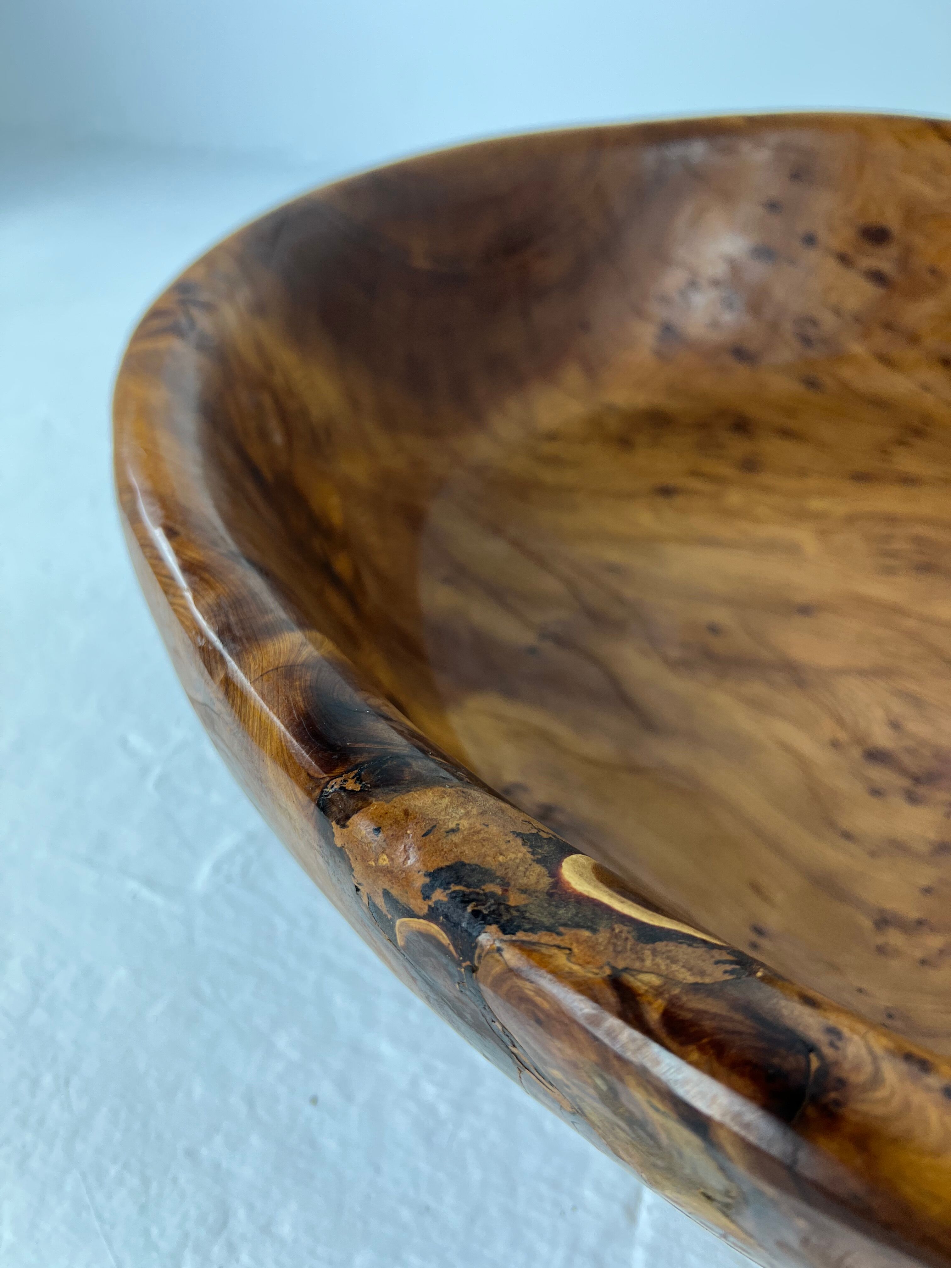 Xxl dish in tuya root