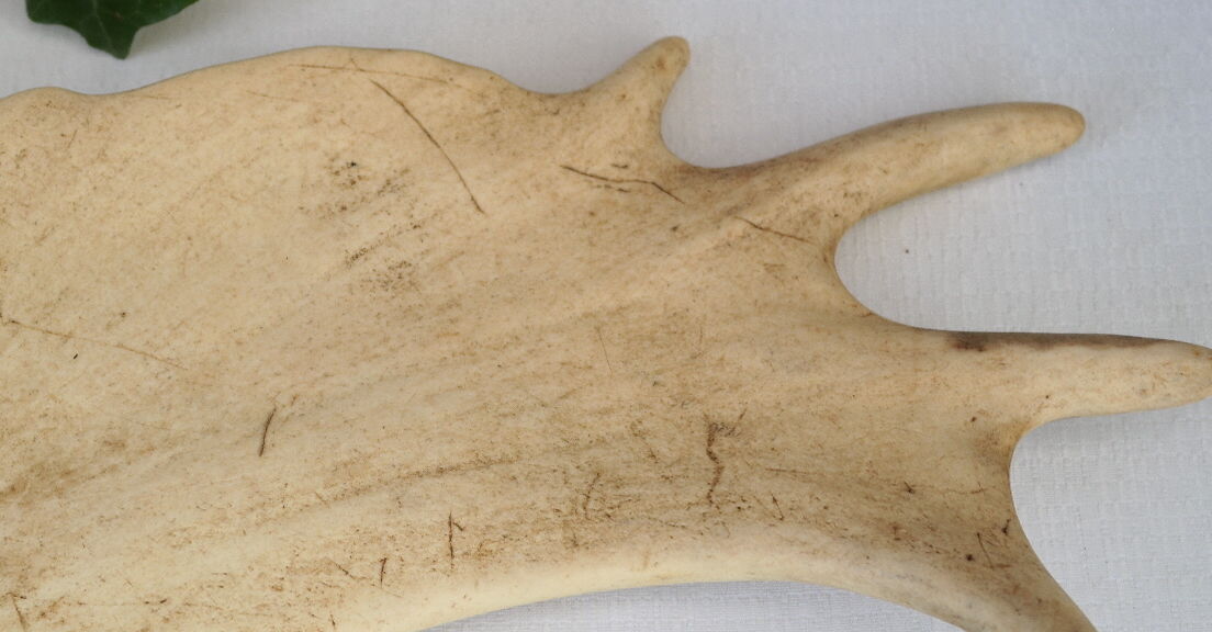 Pair of suede wood europe