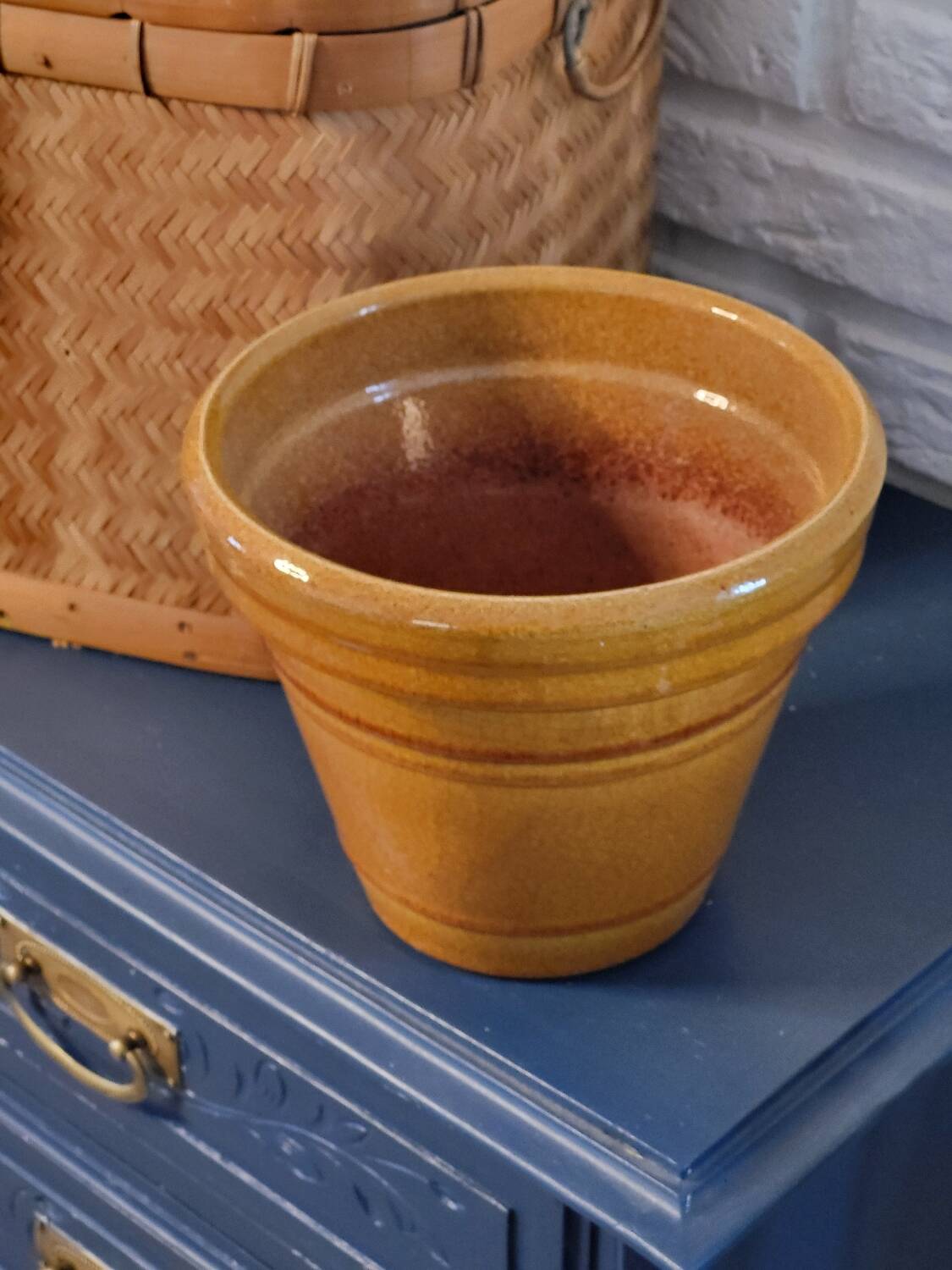 Mustard planter