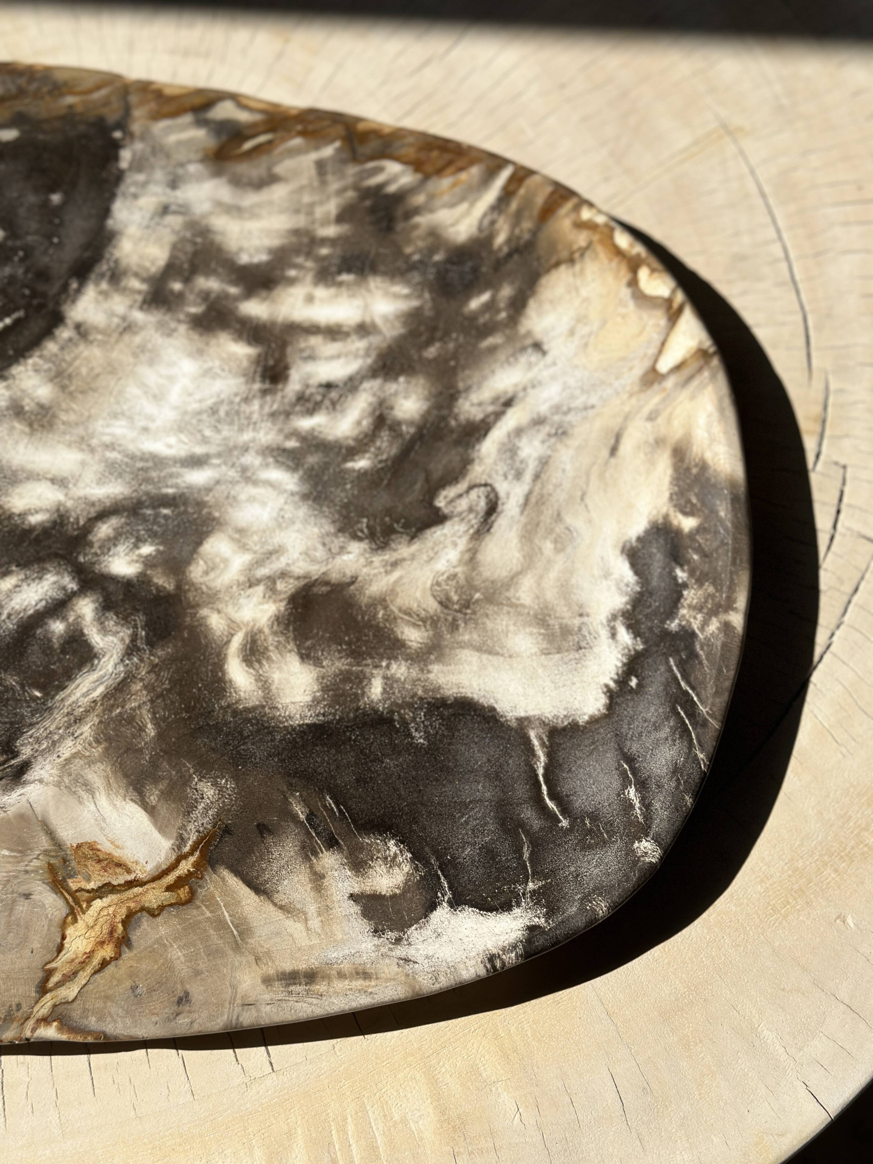 Very large pocket or dish in petrified wood