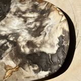 Very large pocket or dish in petrified wood