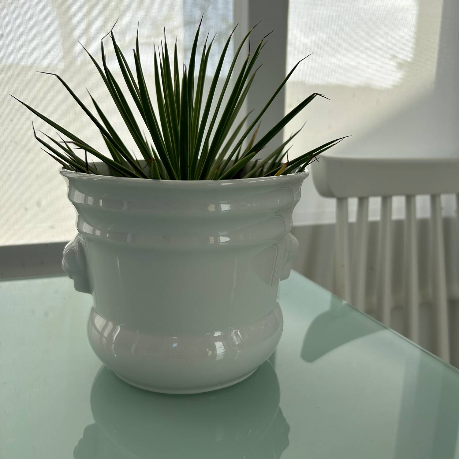 White porcelain cache-pot