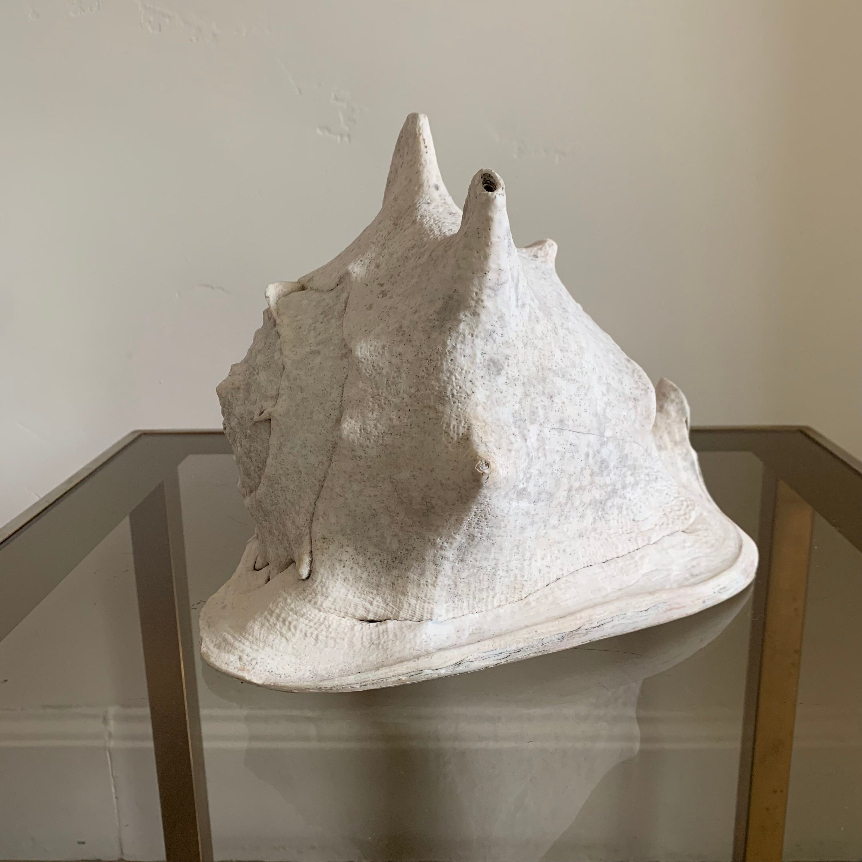 Shell horned helmet 30 cm