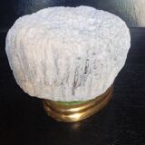 Cabinet of Curiosities Psammocora profundacel white coral on base