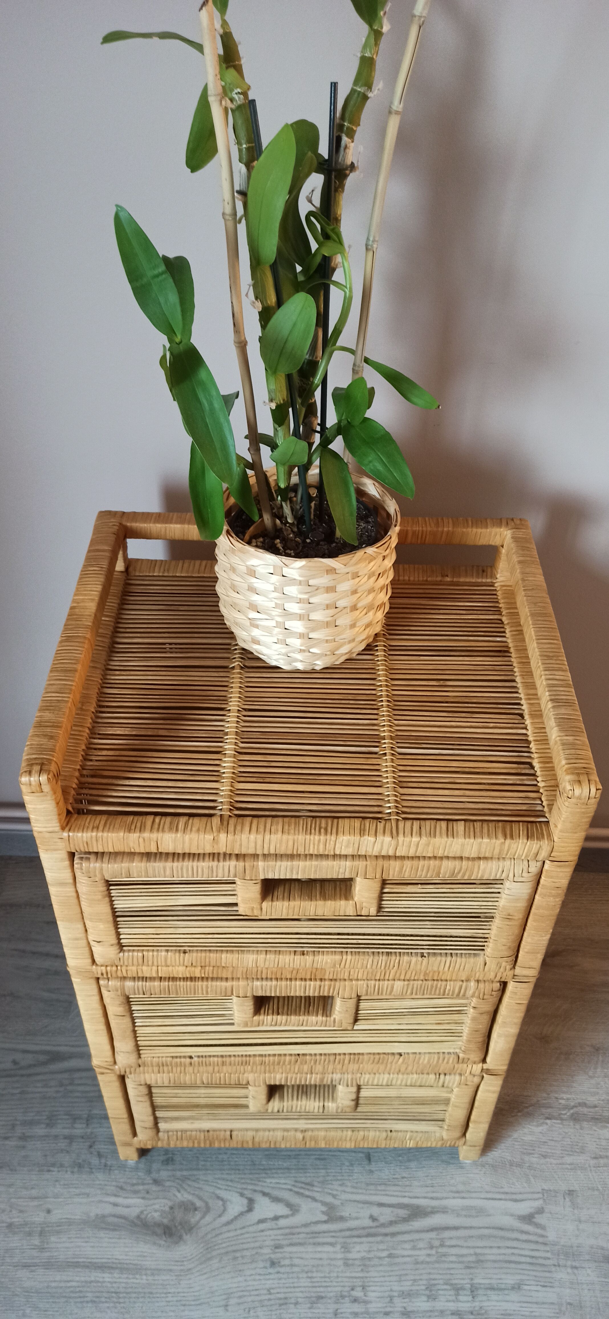 Extra cabinet 3 wicker rattan drawers