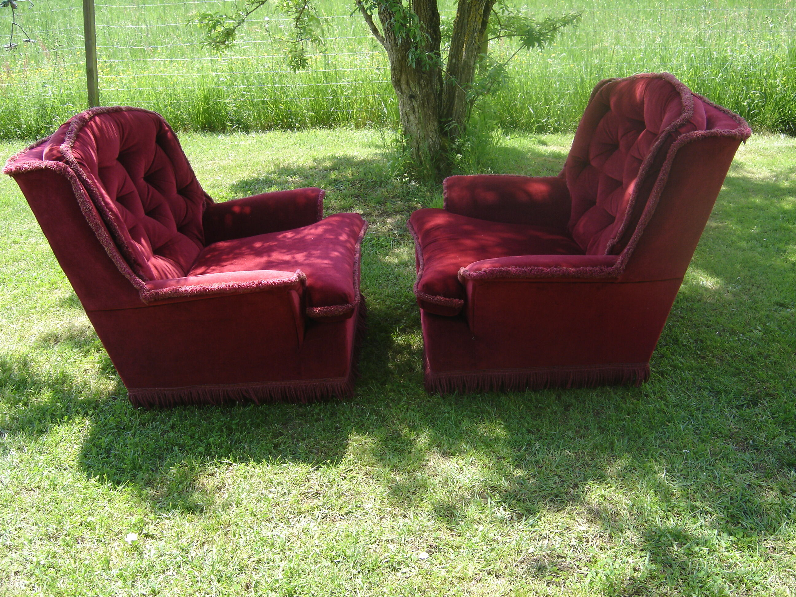 Pair of velvet chair