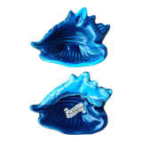 Empty pocket vallauris shells