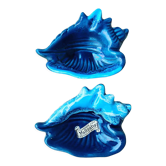 Empty pocket vallauris shells