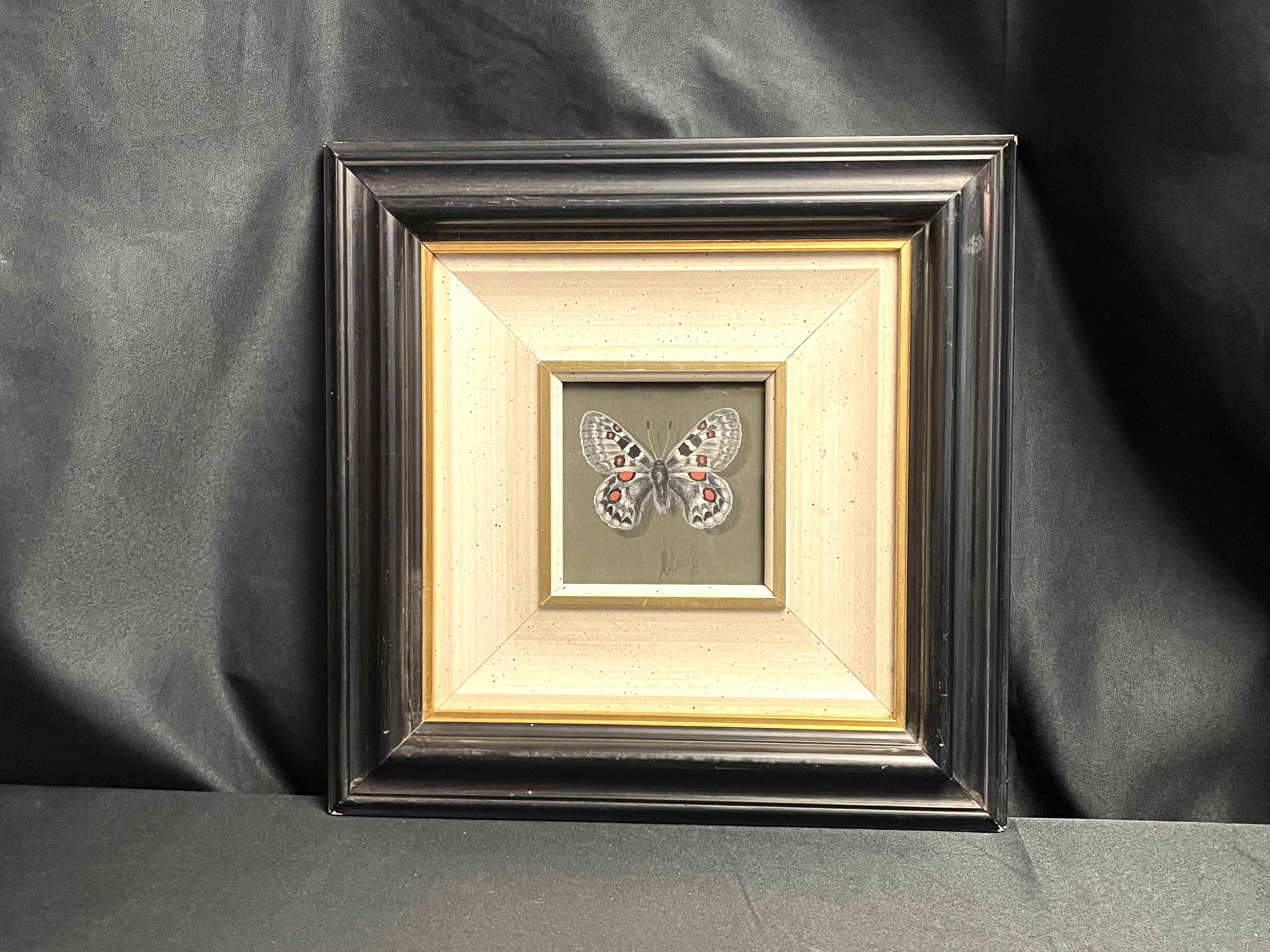 Pastel, butterfly drawing signed, 20th century frame