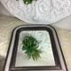 Antique mirror