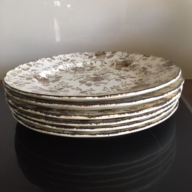 Lot 6 assiettes plates