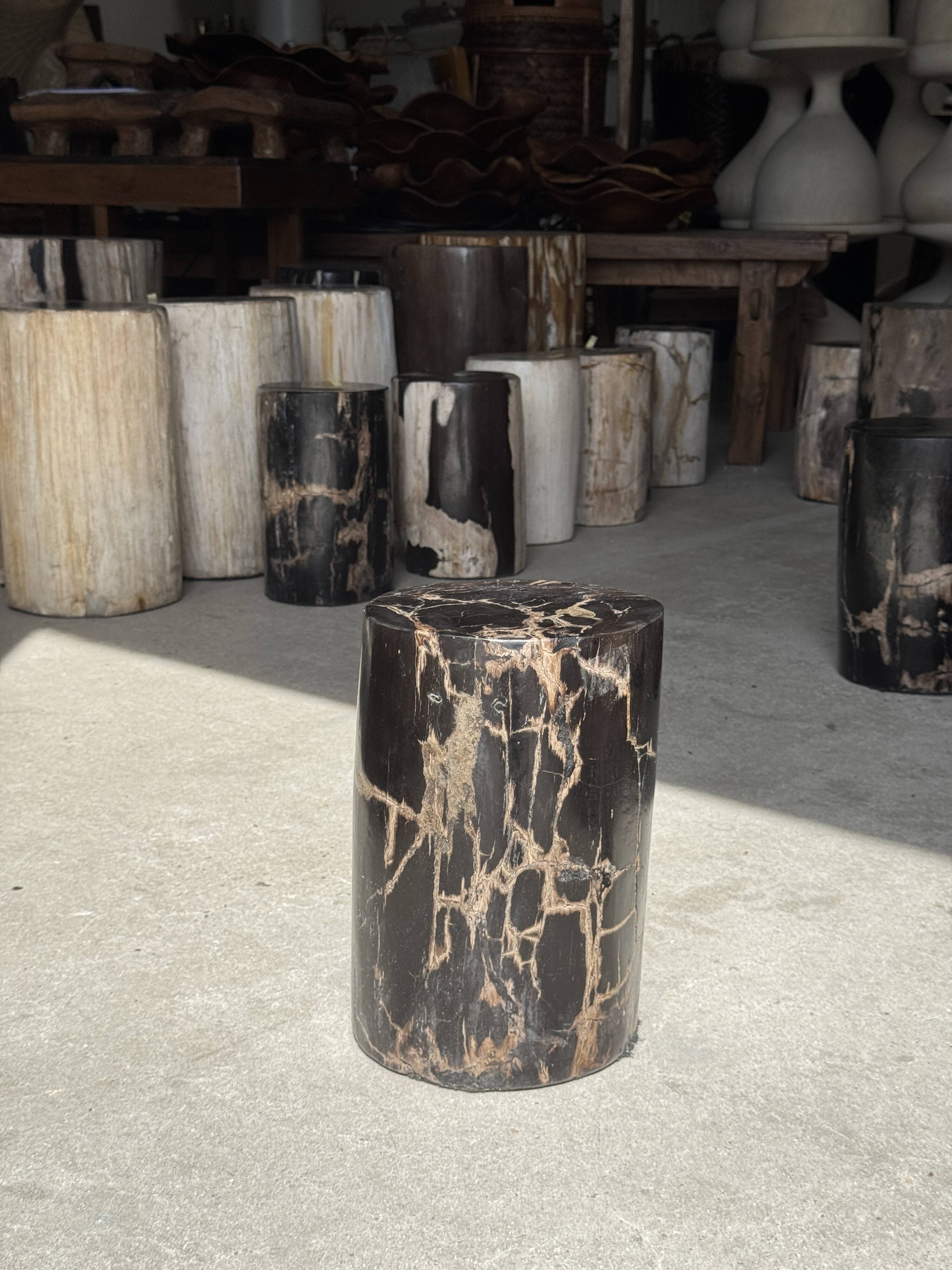 Table d'appoint en bois pétrifié noir