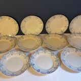 Suite of 11 flat plates iron earth