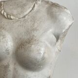 Bust in platre Atelier du Louvre