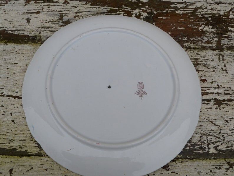 Large round dish 1900 Digoin - Sarreguemine Bird of the Islands