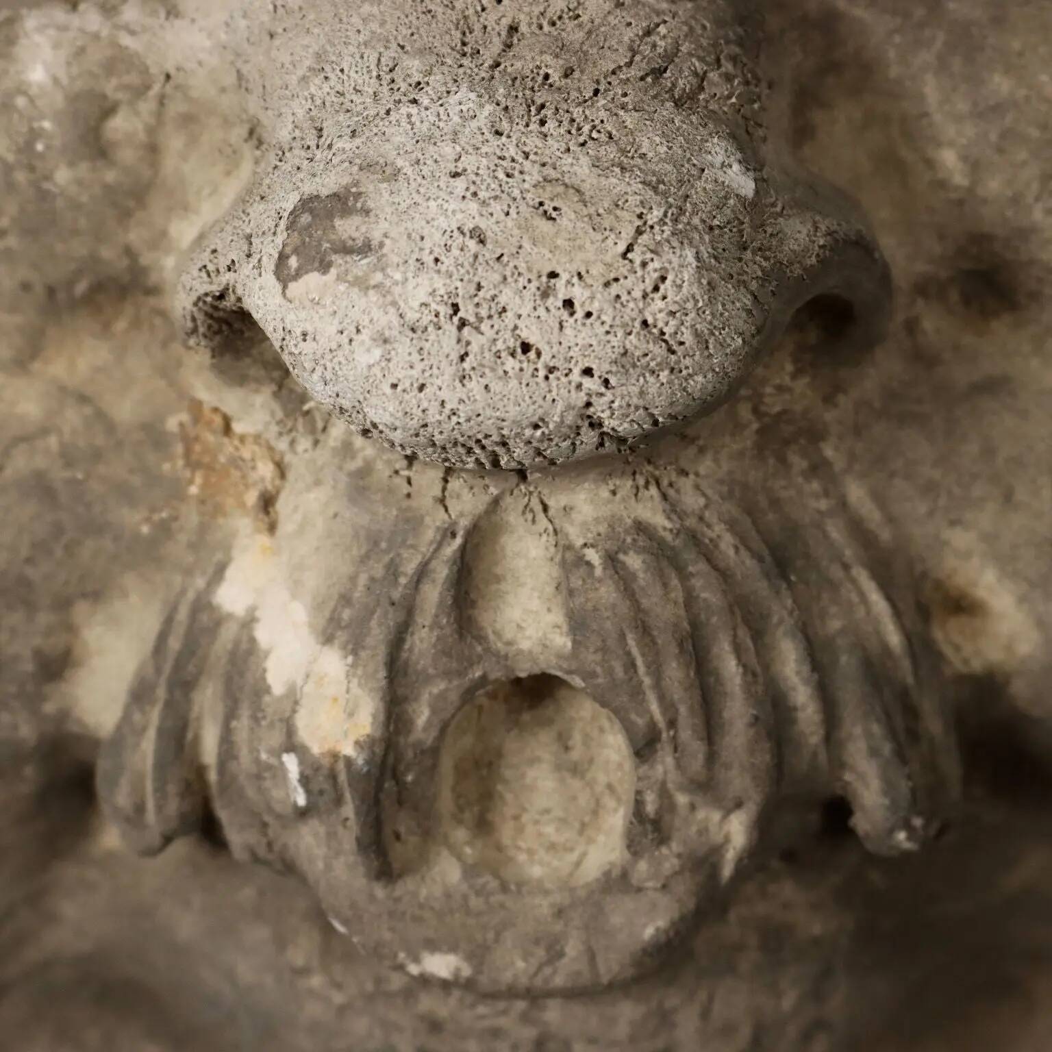 Old plaster tile with a fierce mask decoration, Italy, 19th century.