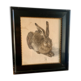 Old Print by Albrecht Dürer