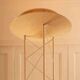 Alta Lite floor lamp