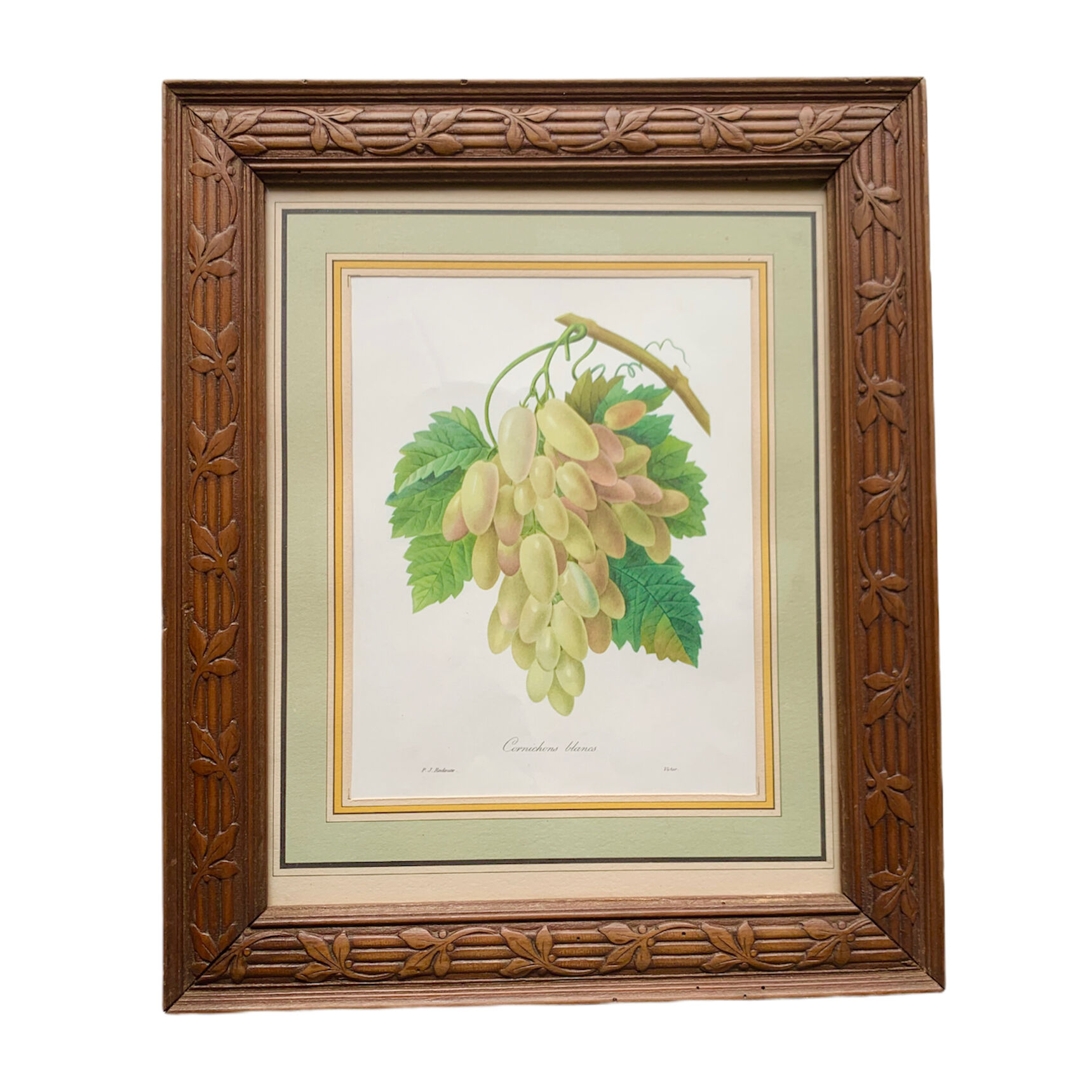 White cornichon grape print