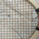 Pair of old tennis rackets circa 1930