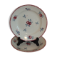 Duo d'assiettes plates Sarreguemines service Danube