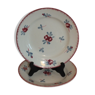 Duo d'assiettes plates Sarreguemines service Danube