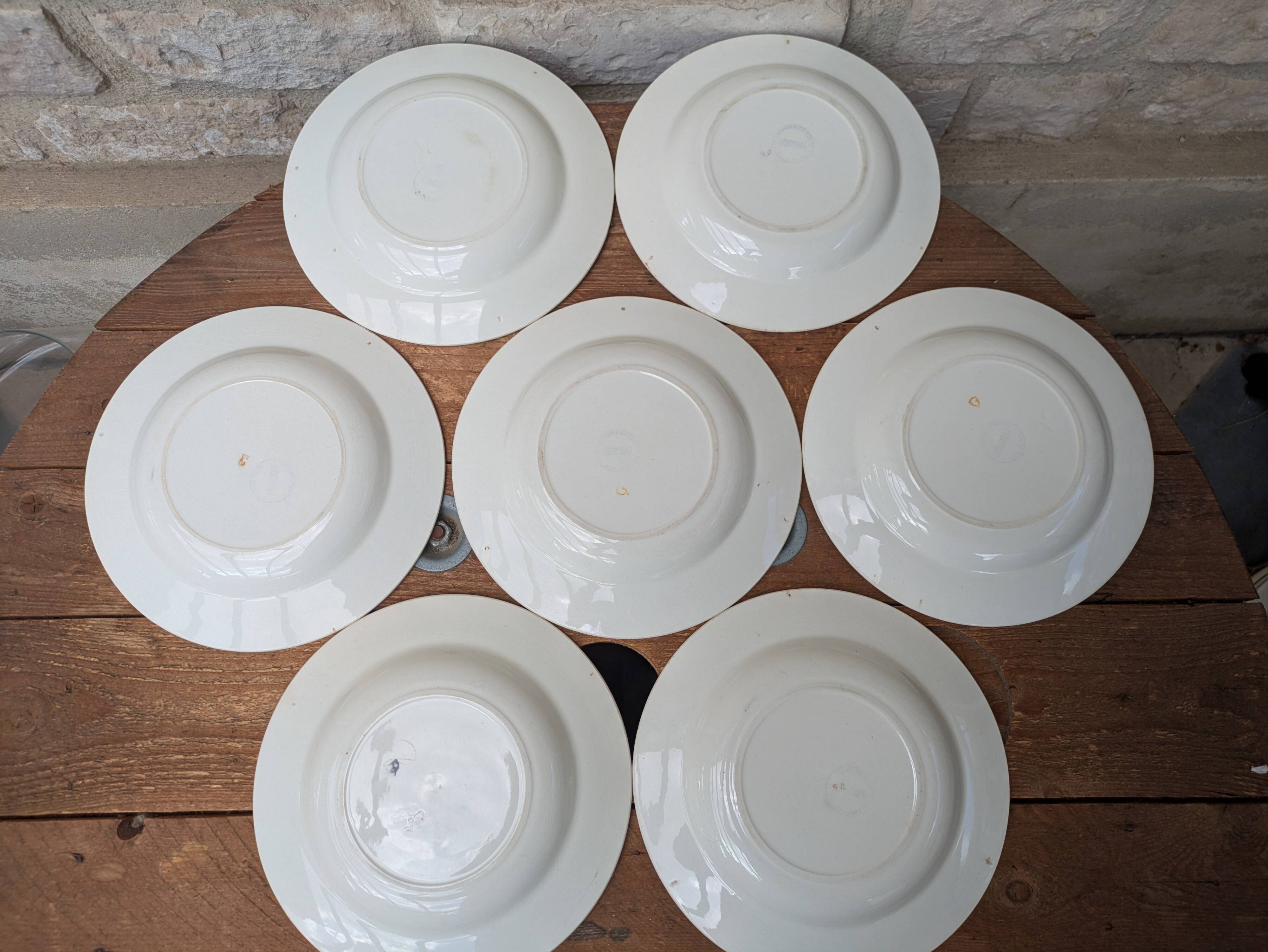 7 old deep plates in Salins earthenware model Nénuphar 24.5cm