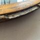 Old oval mirror stitched