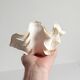 Stunning South Pacific Clam Shell – Sculptural Organic Modern Object