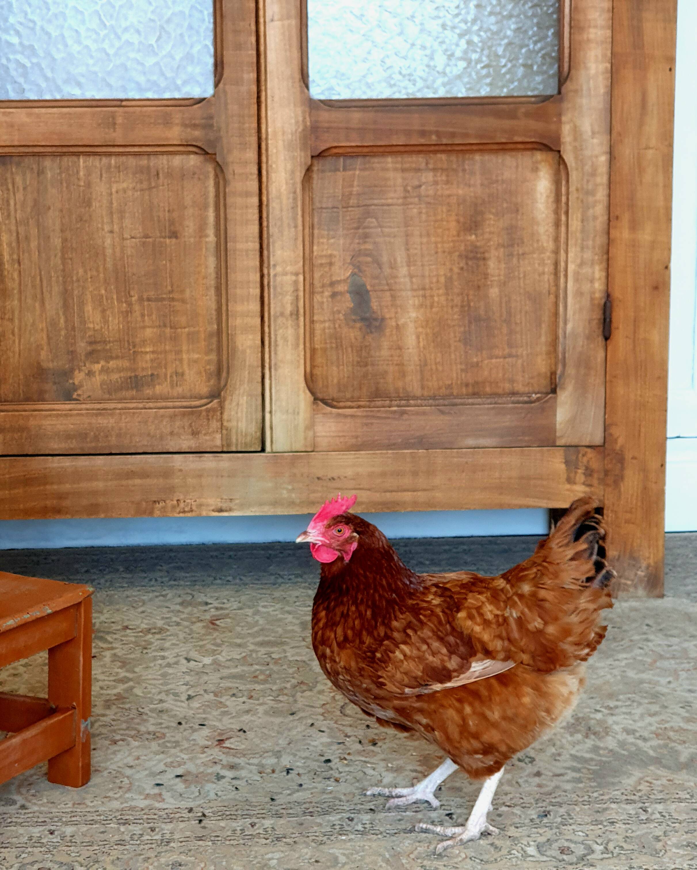 Raw wood wardrobe 1950