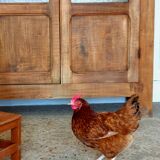 Raw wood wardrobe 1950