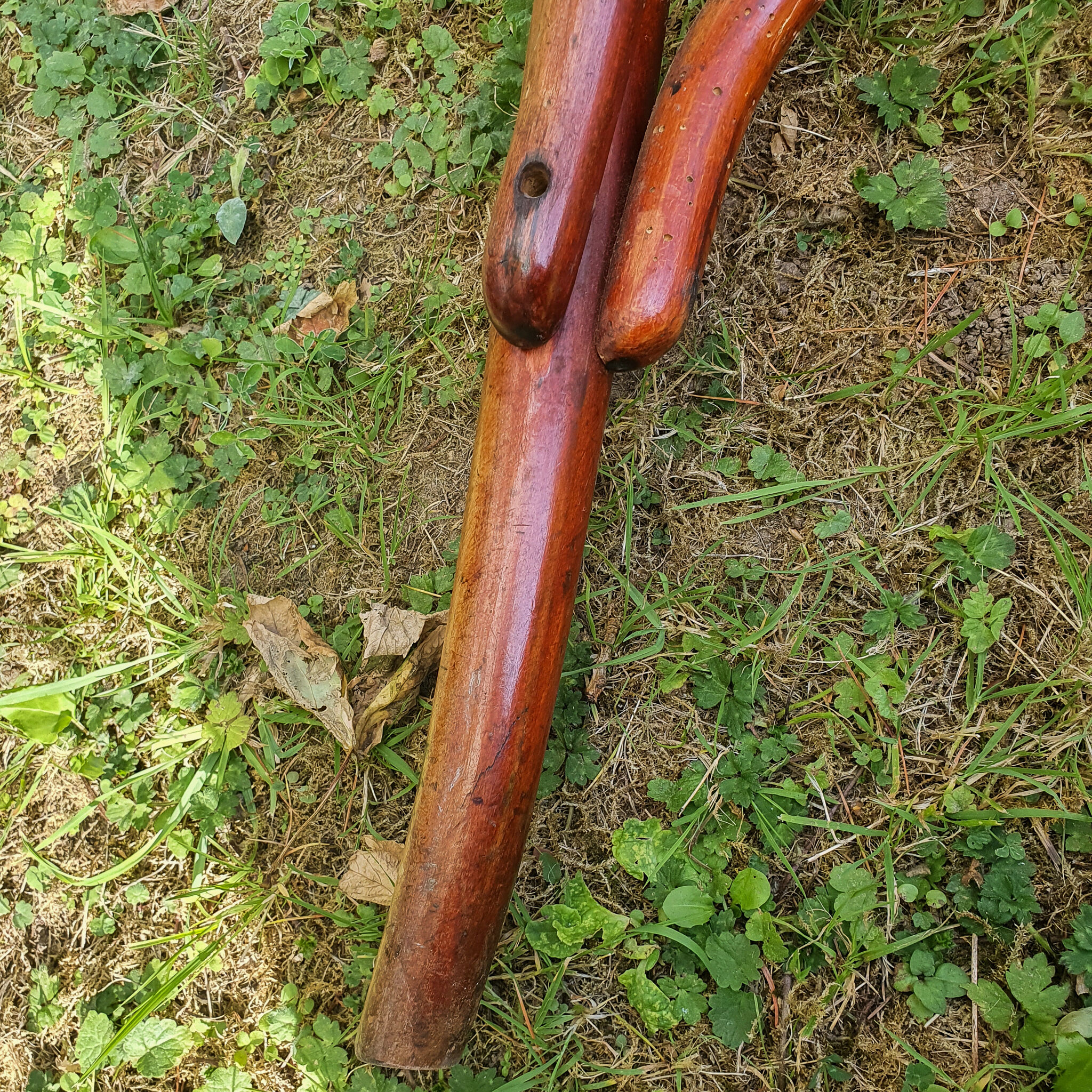 Fischel curved wooden adjustable chair, circa 1910