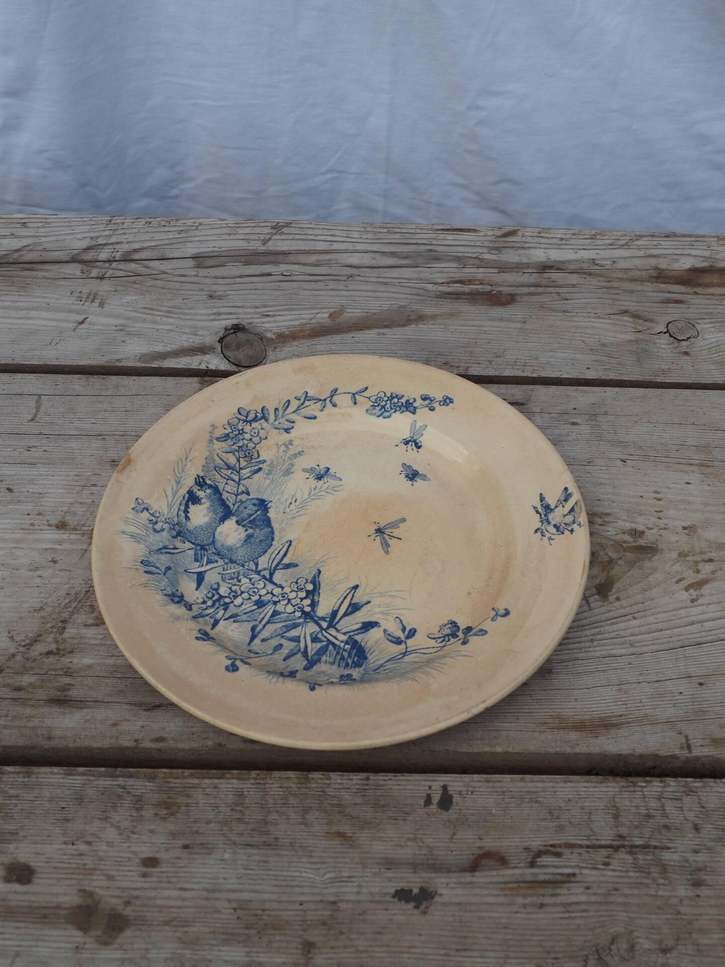 Plate dish Jules Vieillard, 1870