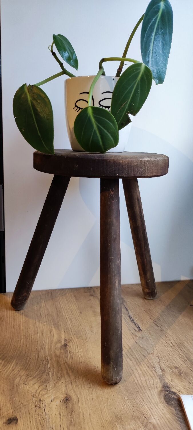 Stool